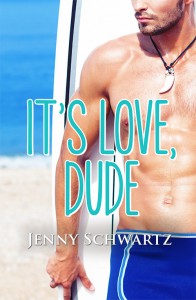 It's Love Dude cover